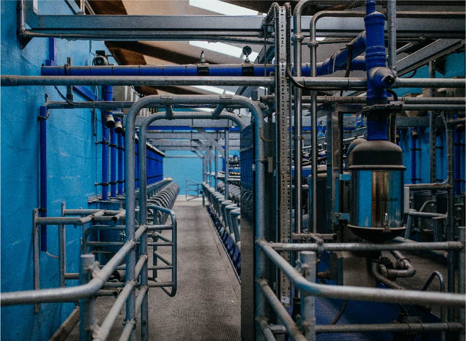 Milking station at Trinity Manor Farm